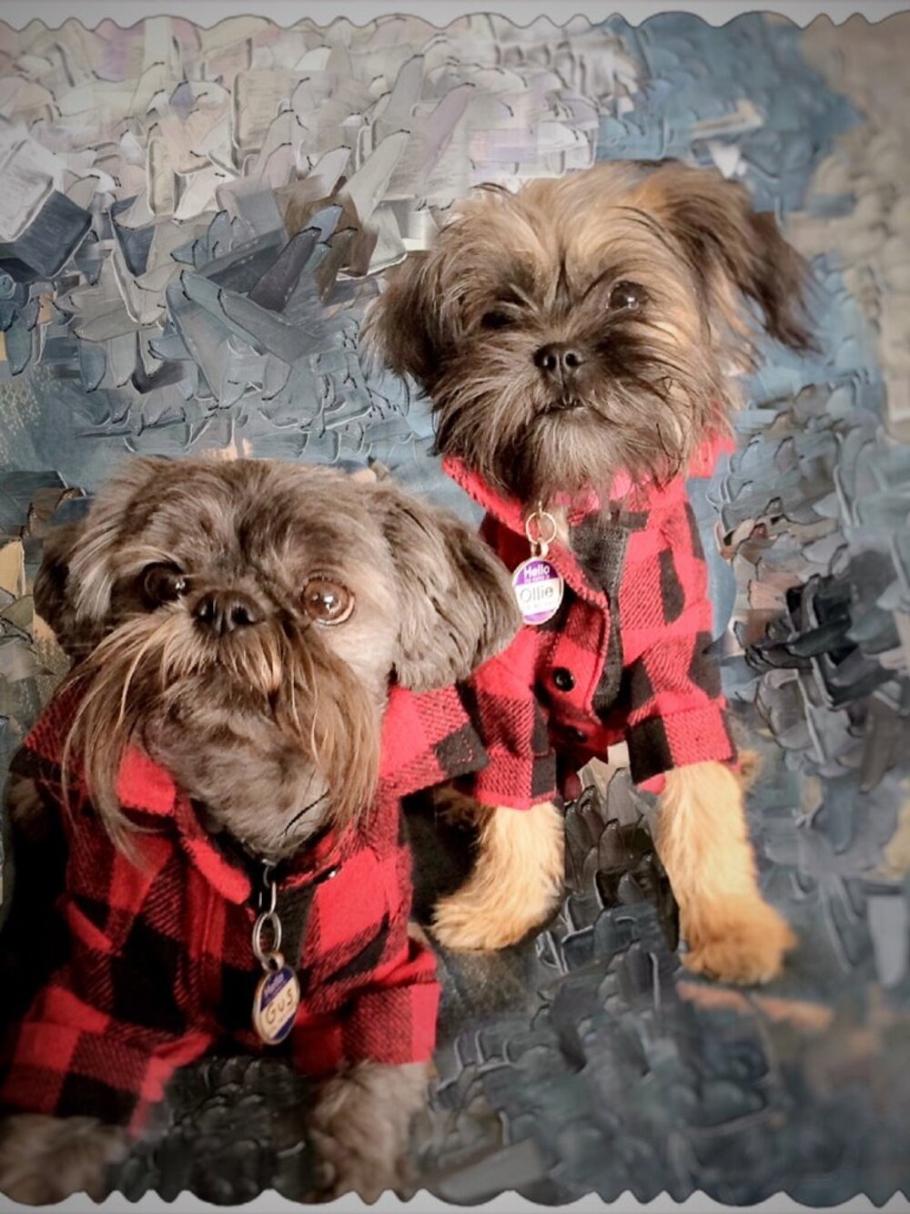 Buffalo Plaid Dog Shirt